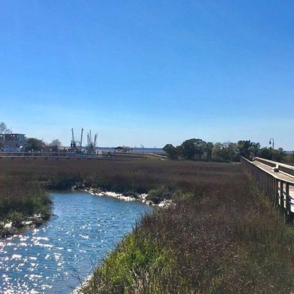 Meet your Posher, Gillian - Picture 1 of 1